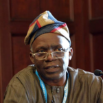 Xenophobia: Falana Urges FG to Sanction South African Companies, Calls for MTN Boycott Over Attacks on Nigerians